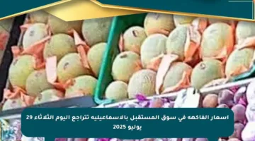 أسعار الفاكهة في سوق المستقبل بالإسماعيلية تتراجع اليوم الثلاثاء 29 يوليو 2025